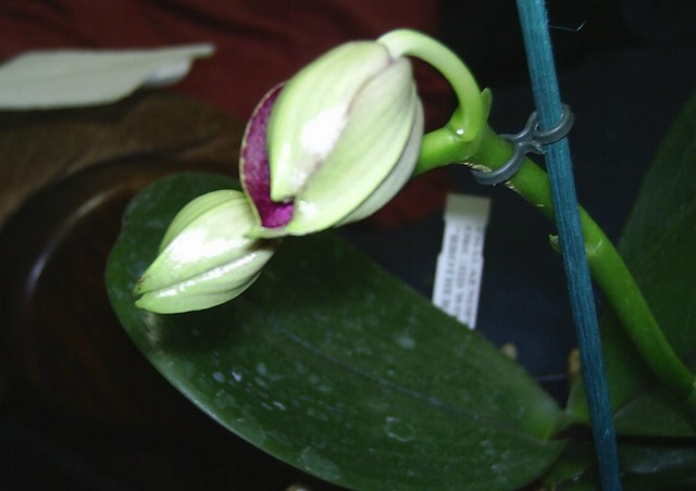 Image0000212.jpg