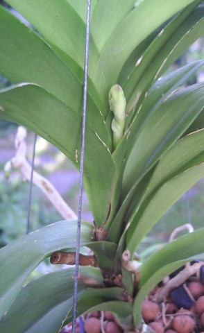 Image0000213.jpg