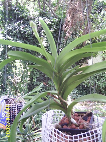 Image0000214.jpg