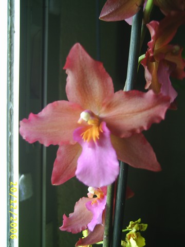 Image000022.jpg
