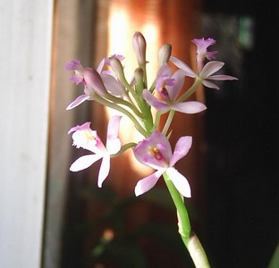 Image0000224.jpg