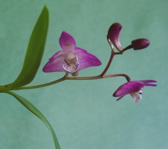 Image0000226.jpg