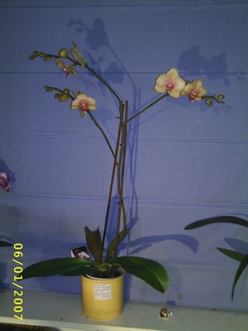 Image000023.jpg