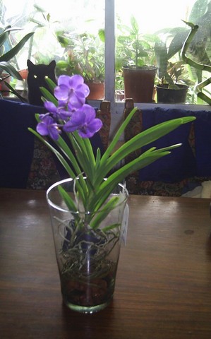 Image000024.jpg