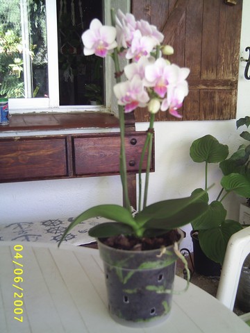 Image000029.jpg
