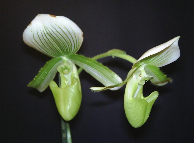 Image00003.jpg