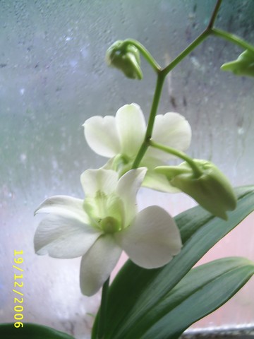 Image00003.jpg