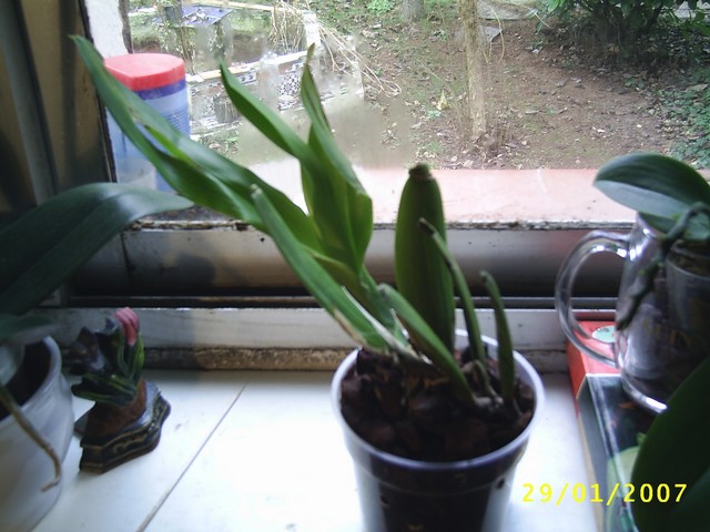 Image000031.jpg