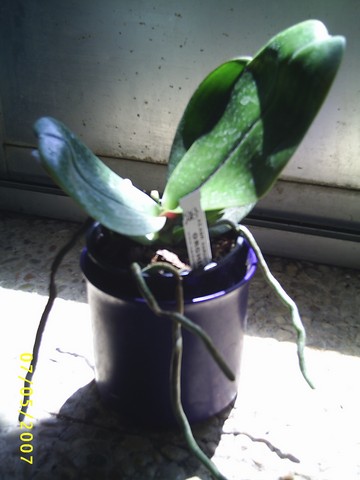 Image000035.jpg