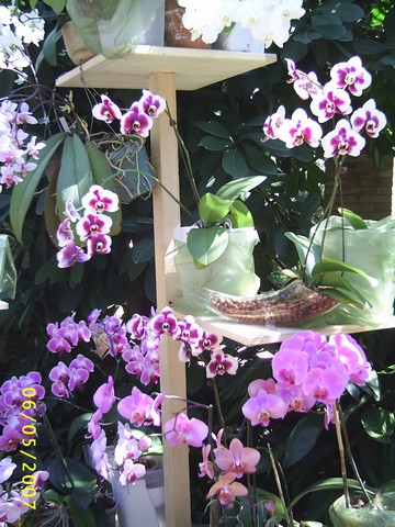 Image000036.jpg