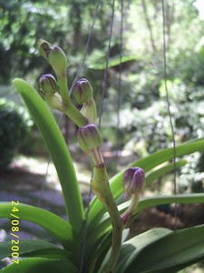 Image000039.jpg