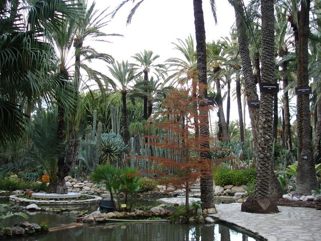 Image00004%7E1.jpg