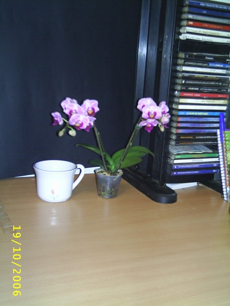Image00004.jpg