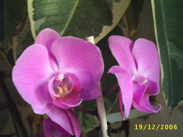 Image000041.jpg
