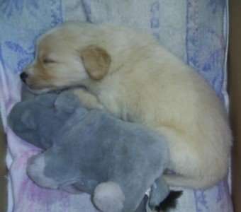 Image0000410.jpg