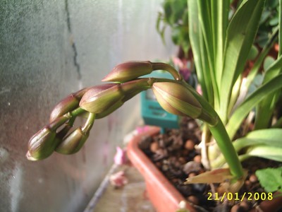 Image0000411.jpg