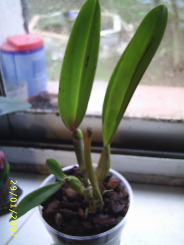 Image000042.jpg