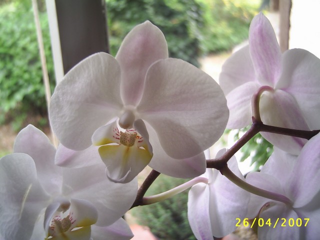 Image000045.jpg