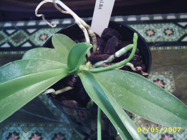 Image000046.jpg
