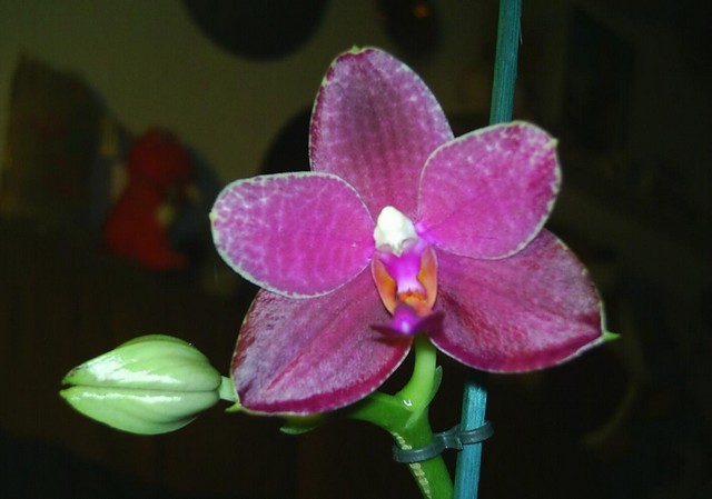 Image000048.jpg