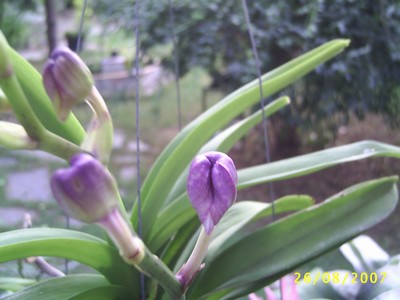 Image000049.jpg