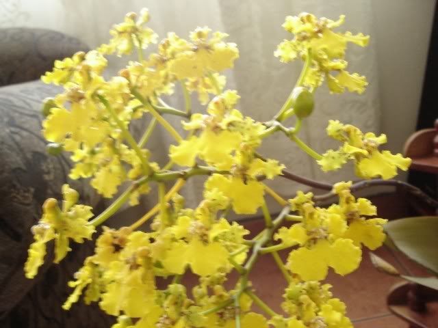 Image00005-1.jpg