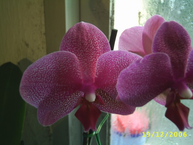 Image00005.jpg