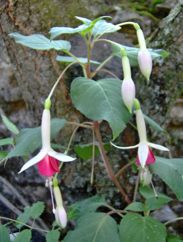 Image000053.jpg