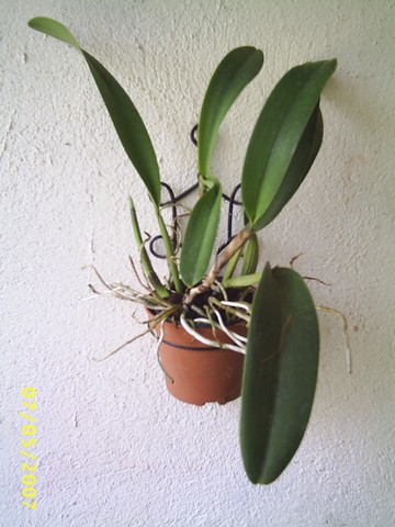 Image000054.jpg