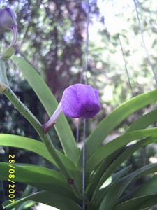 Image000055.jpg