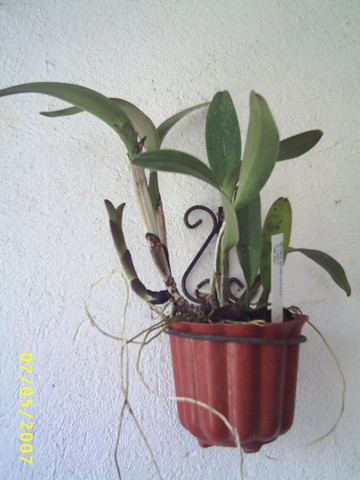 Image000062.jpg