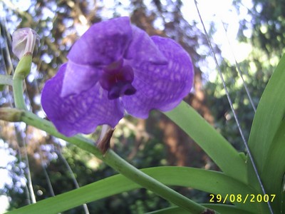 Image000063.jpg