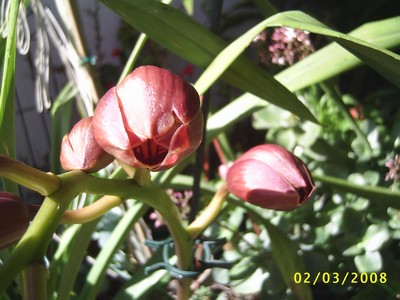 Image000064.jpg