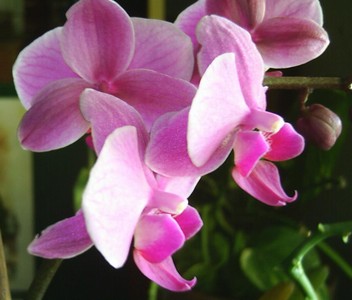 Image000066.jpg
