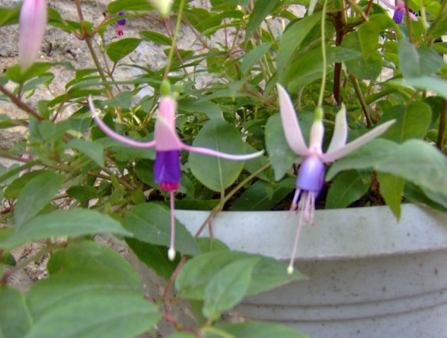 Image000072.jpg