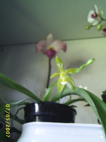 Image000073.jpg