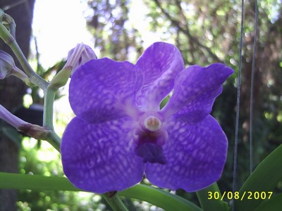 Image000074.jpg