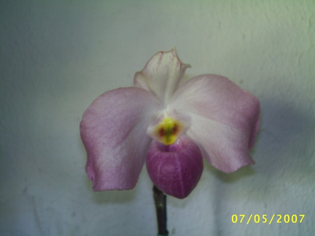 Image000081.jpg