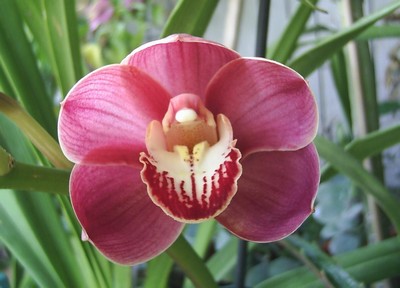 Image000082.jpg