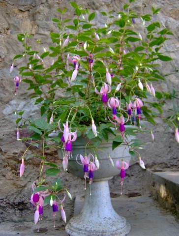 Image00009.jpg
