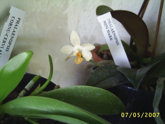 Image00010.jpg