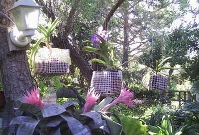 Image000101.jpg