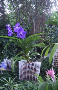 Image00011.jpg