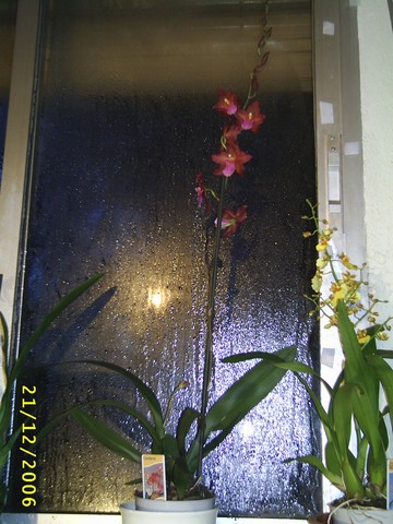 Image00021.jpg