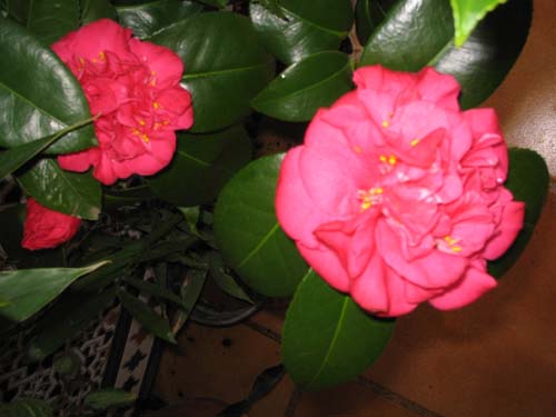 Image00023%7E0.jpg