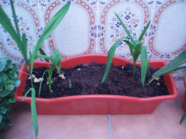Image00034.jpg