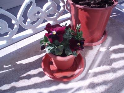 Image00054.jpg