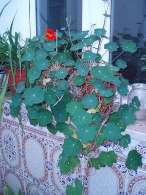 Image00092.jpg