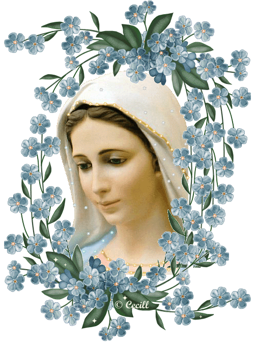 image001.gif