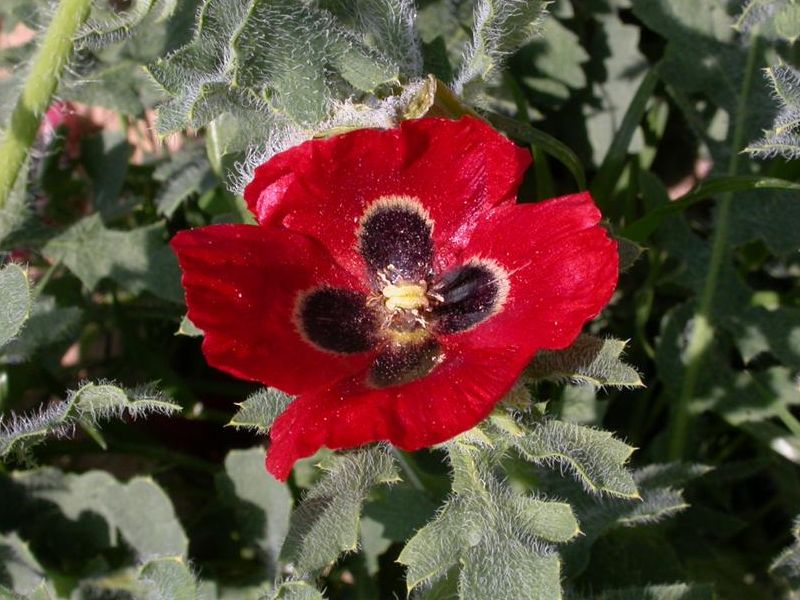 image001.jpg